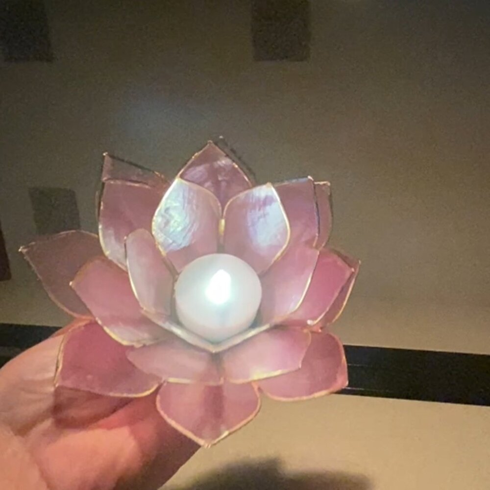 Handmade Capis Shells Candle Holders